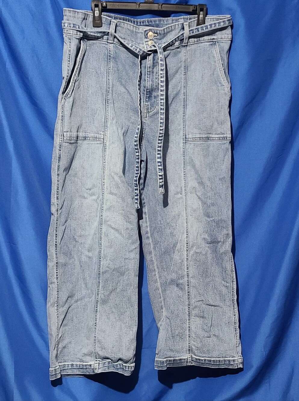 HUDSON Los Angeles Wide Leg Tie Waist Jeans Women's Size 18 Light Wash High Rise - Picture 2 of 9